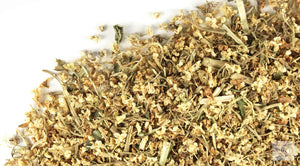 ELDER FLOWER WHOLE - HERB