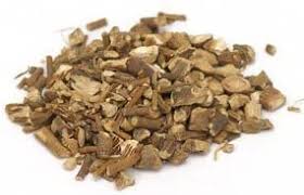 MANDRAKE ROOT (USA) C/S - HERB