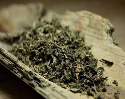 PATCHOULI LEAVES C/S - HERB