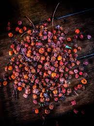 ROWAN BERRIES WHOLE
