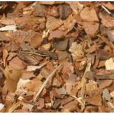 WHITE PINE BARK - C/S - HERB