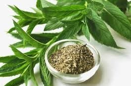 PEPPERMINT LEAVES CUT - HERB